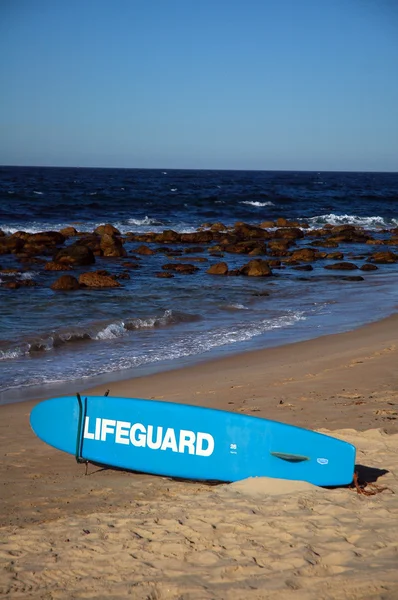 stock image Lifeguard