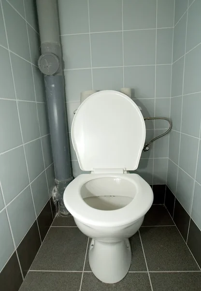 Fehér tiszta WC-vel — Stock Fotó