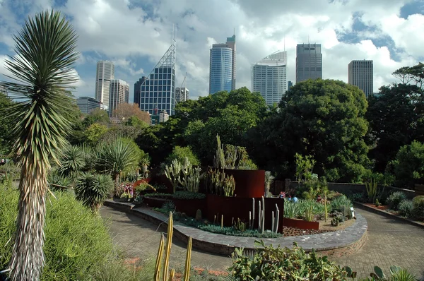 悉尼花园 — 图库照片
