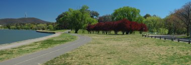 Canberra scenery clipart