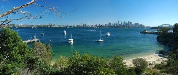 Sydney panorama - Stock-foto
