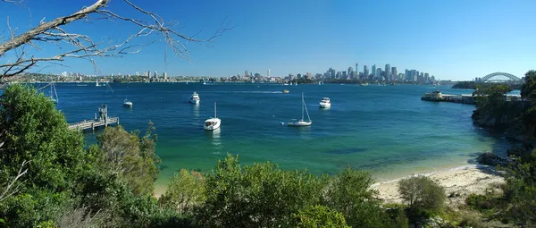 Sydney panorama — Stock fotografie