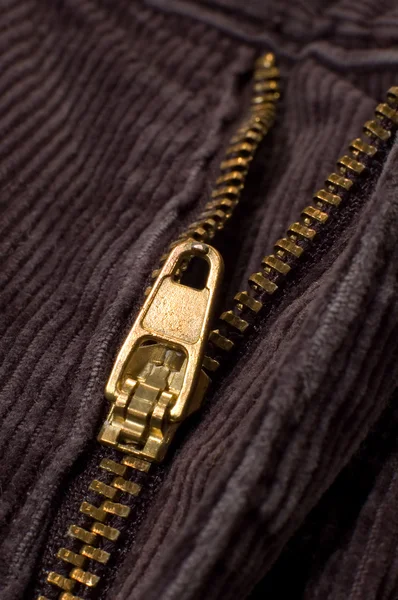 stock image Zipper detail