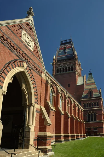Harvard kampüs — Stok fotoğraf