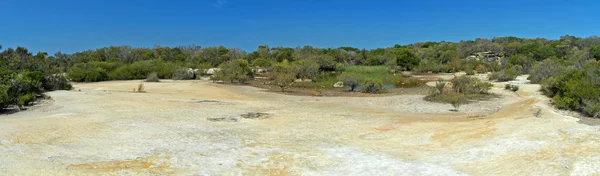 stock image Bush panorama