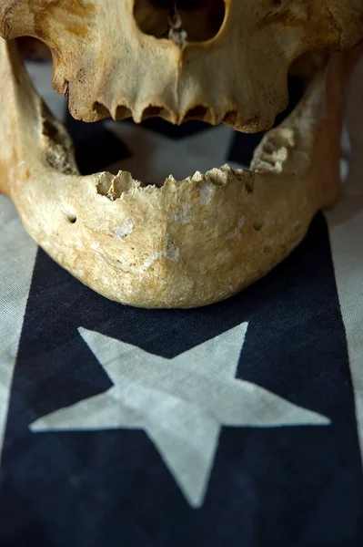 頭蓋骨と星 — ストック写真