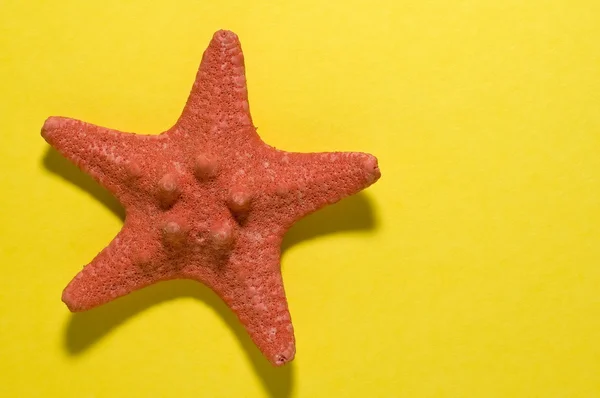 Пятипальцевая звезда — стоковое фото