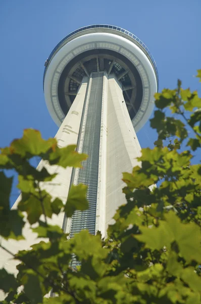 Torre CN — Foto de Stock
