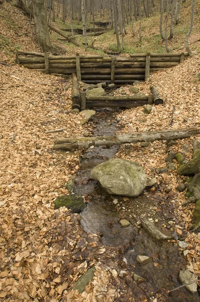 stock image Forest dam