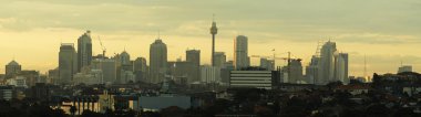 Sydney cbd panorama clipart