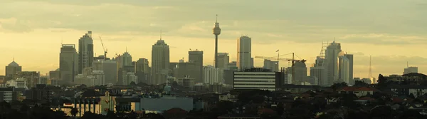 Sydney cbd panorama — Stockfoto