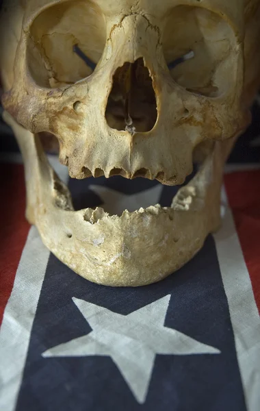 アメリカの頭蓋骨 — ストック写真