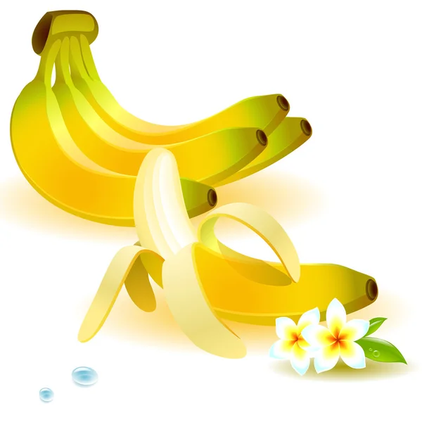 Bananensatz — Stockvektor