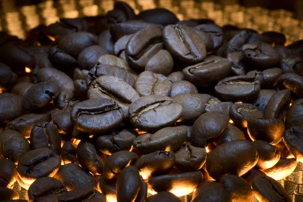 stock image Coffee grains