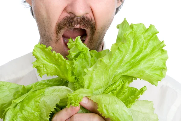 Чоловік їсть лист салату — стокове фото