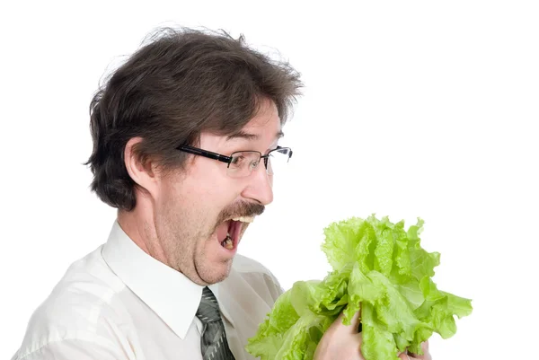 Homem alegra folha da salada — Fotografia de Stock