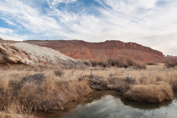 Riacho do deserto — Fotografia de Stock