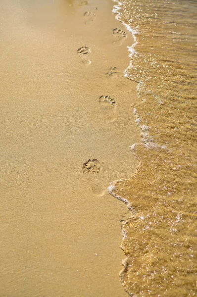 stock image Foot steps on the the tropic beach