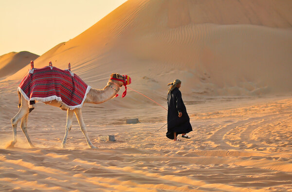 The cameleer in black with a camel in desert