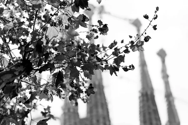 Sagrada Familia Church postcard, black and white — Stock Photo, Image