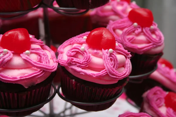 Pink Frosted Chocolate Cupcakes — Stock Photo, Image