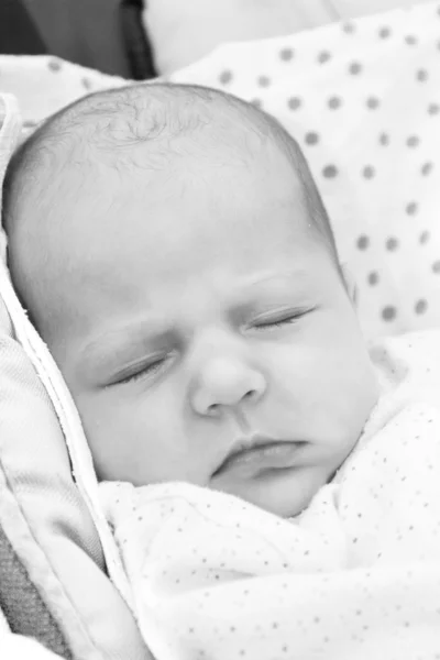 Πορτρέτο ενός ύπνου του νεογέννητου μωρού — Φωτογραφία Αρχείου