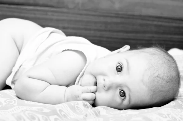 Новорожденный ребенок выглядит заинтересованным — стоковое фото