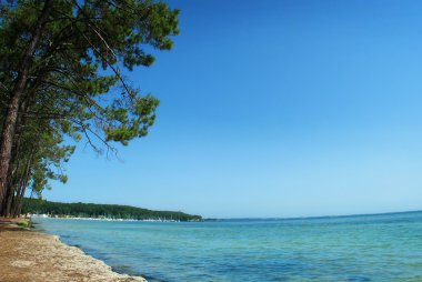 Plage biscarrosse lac