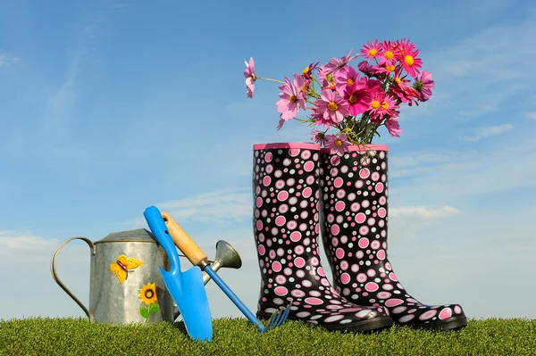 stock image Gardening concept two
