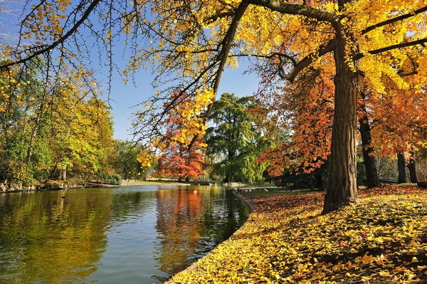 Park autumn — Stock Photo, Image