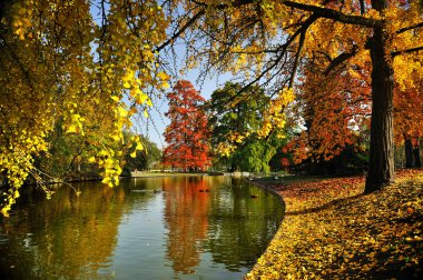 Park açık