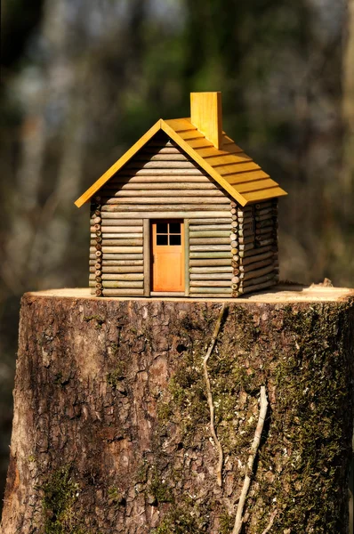 木造住宅 2 — ストック写真