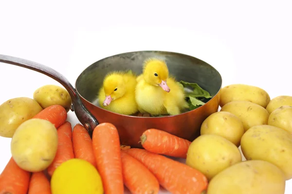 Duck saucepan — Stock Photo, Image