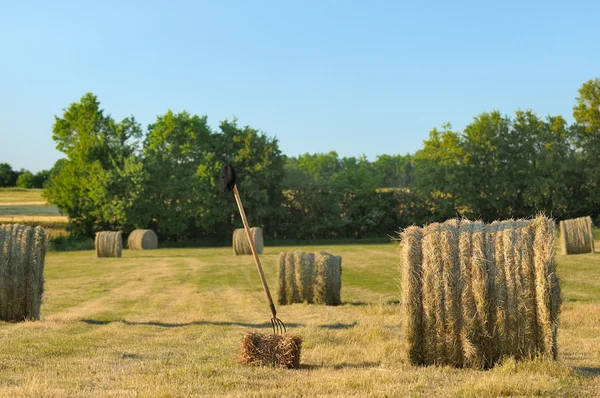 Harvesting hay — Stock Photo, Image
