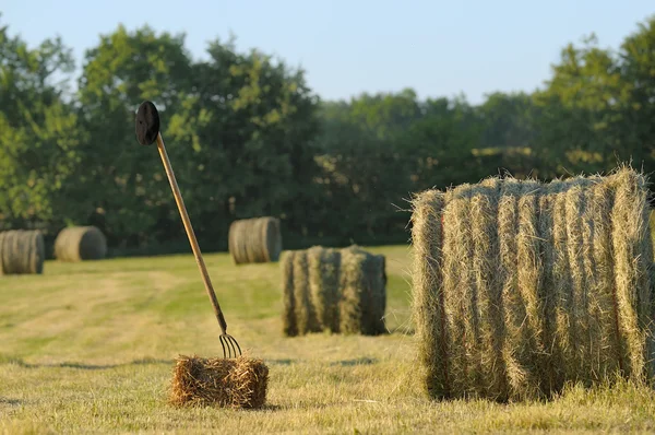Harvesting hay-two — Zdjęcie stockowe