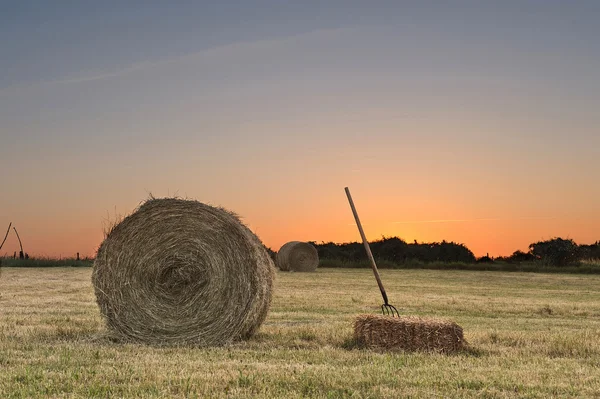 Harvesting hay-three — Stock Photo, Image
