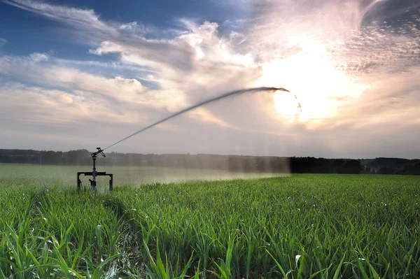 Irrigatie drie — Stockfoto