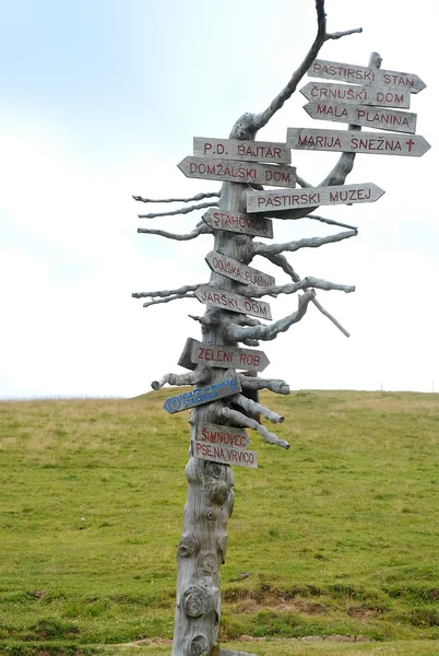 stock image Dead tree