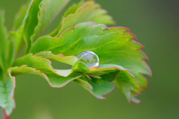 Luce dell'acqua — Foto Stock