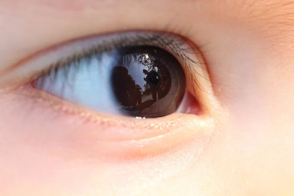 stock image Eye macro