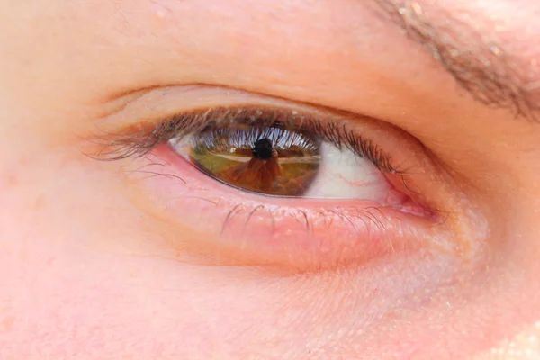 stock image Eye macro