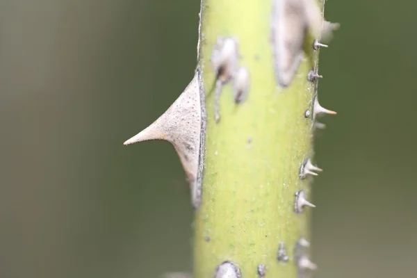 Águas residuais — Fotografia de Stock