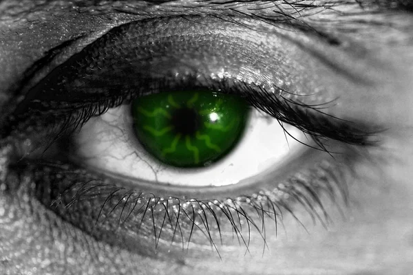 Auge grün — Zdjęcie stockowe