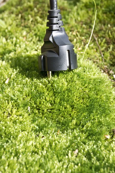 stock image Moss electricity