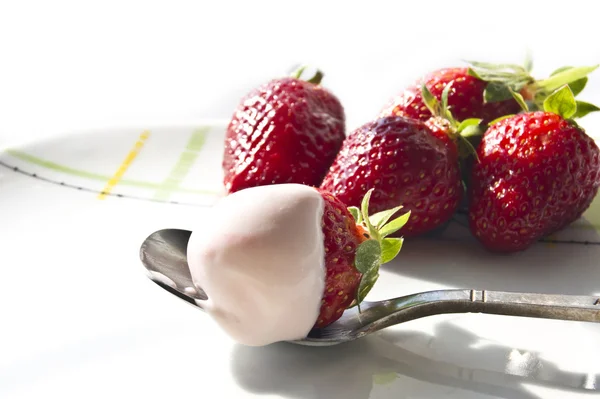Erdbeerjogut mit Scheiben frischer Erdbeeren — Stockfoto