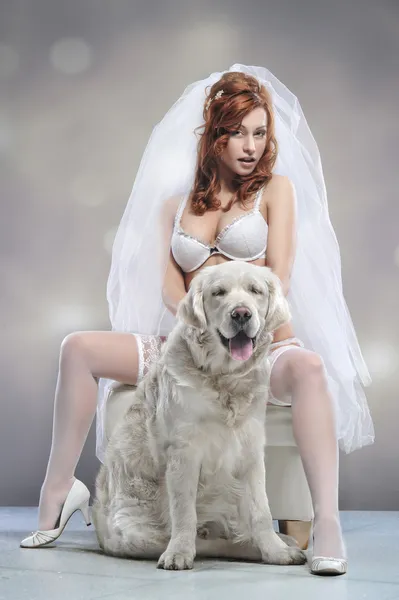 Молодая женщина в свадебном белье с собакой — стоковое фото