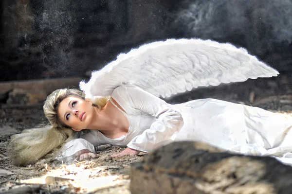 Anjo da beleza — Fotografia de Stock
