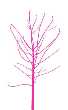 Young lonely tree clipart