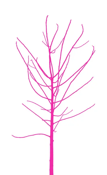 Joven árbol solitario — Vector de stock