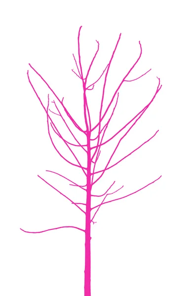 Joven árbol solitario — Vector de stock